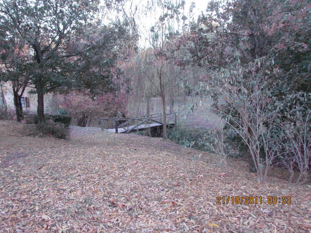 Agriturismo Il Mulino Delle Pile شيسدينو المظهر الخارجي الصورة