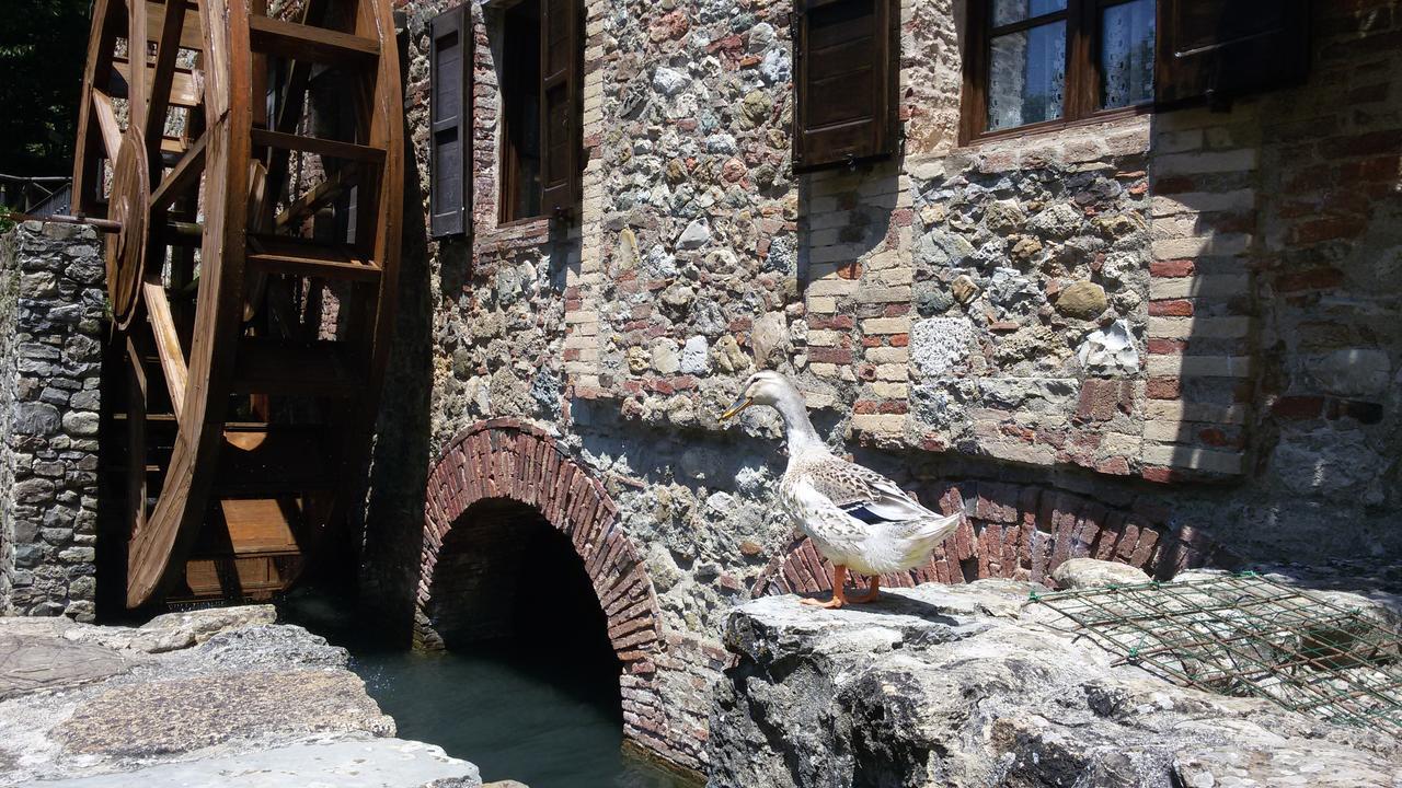 Agriturismo Il Mulino Delle Pile شيسدينو المظهر الخارجي الصورة