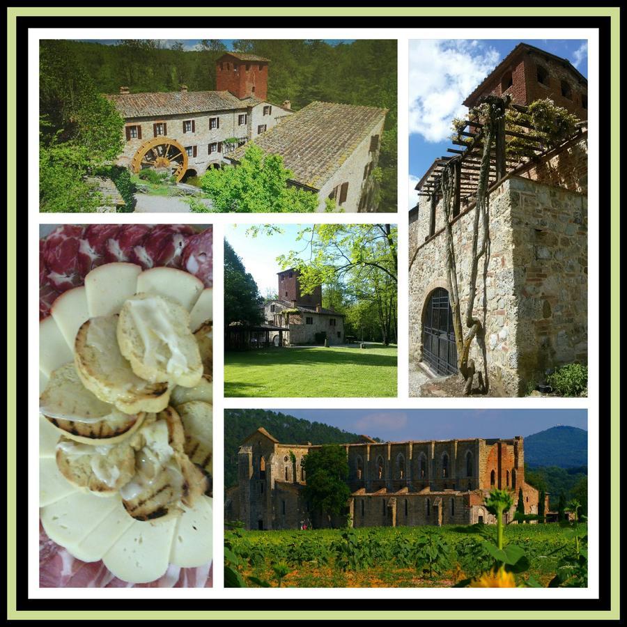 Agriturismo Il Mulino Delle Pile شيسدينو المظهر الخارجي الصورة