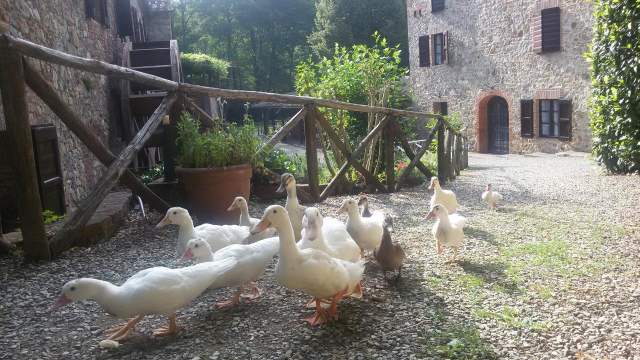 Agriturismo Il Mulino Delle Pile شيسدينو المظهر الخارجي الصورة