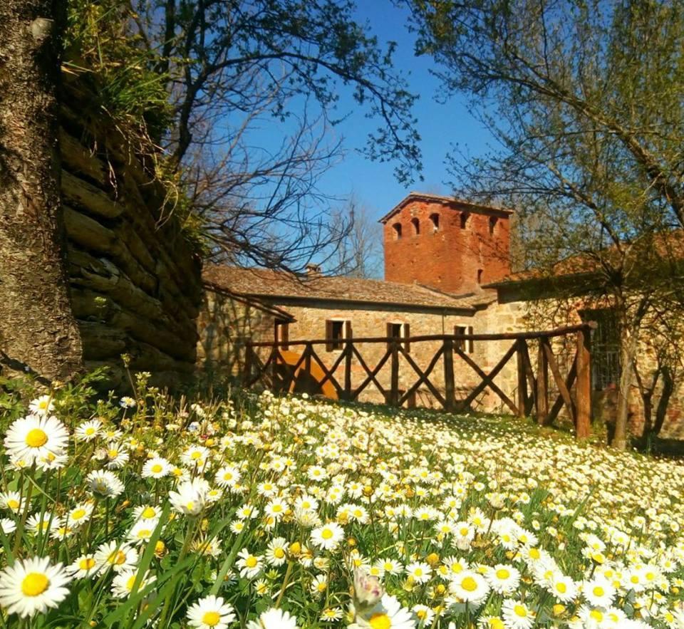 Agriturismo Il Mulino Delle Pile شيسدينو المظهر الخارجي الصورة