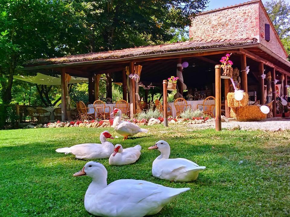 Agriturismo Il Mulino Delle Pile شيسدينو المظهر الخارجي الصورة