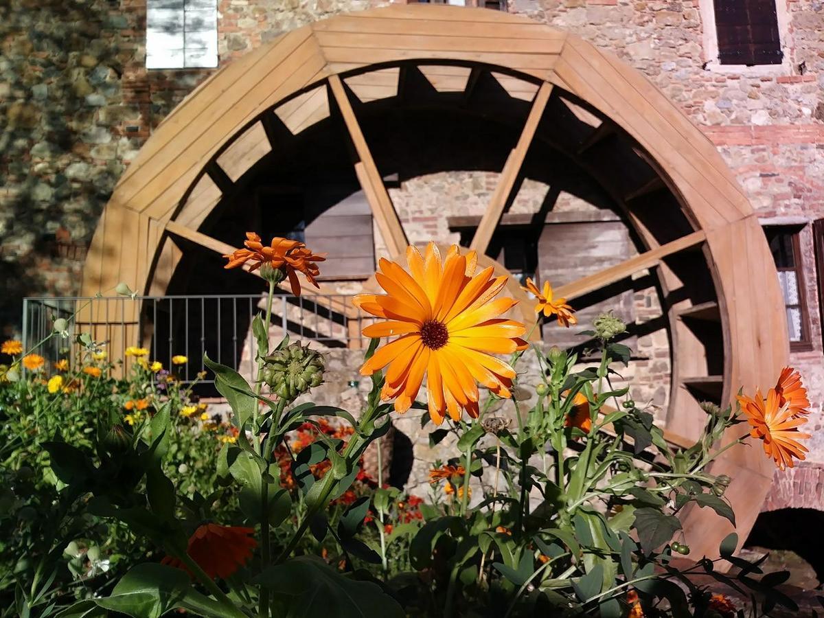 Agriturismo Il Mulino Delle Pile شيسدينو المظهر الخارجي الصورة