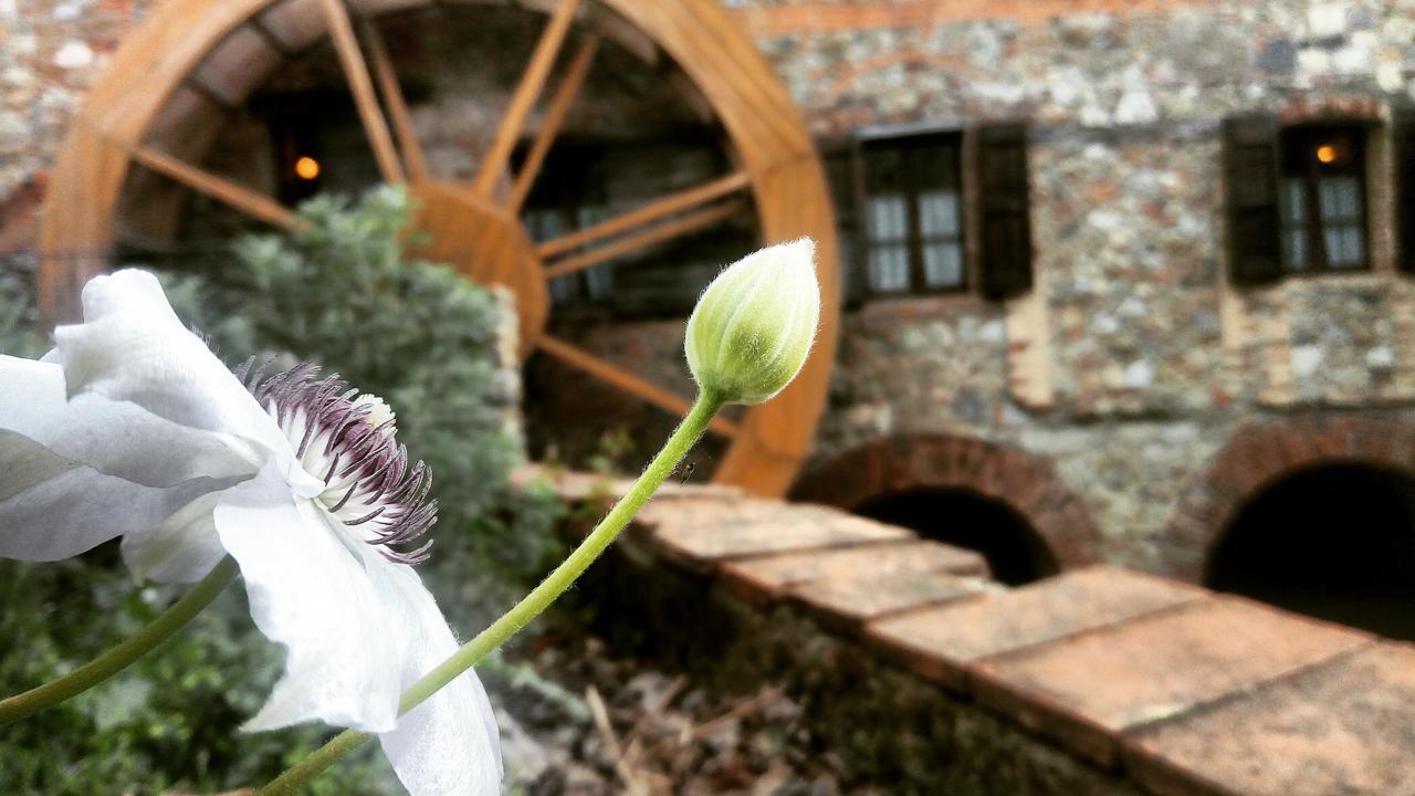 Agriturismo Il Mulino Delle Pile شيسدينو المظهر الخارجي الصورة